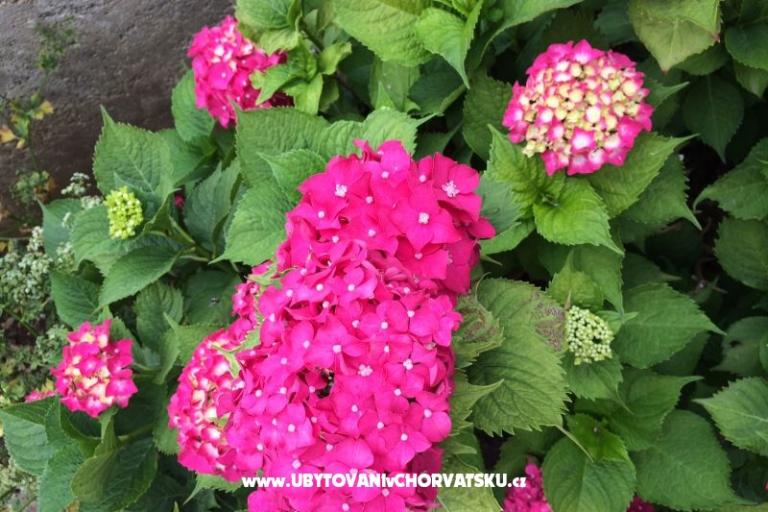 Apartmanok Jurov – fotó 15