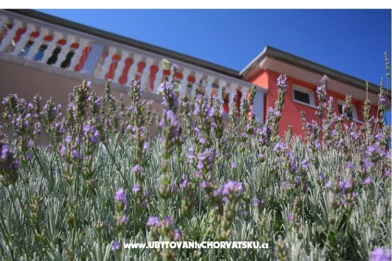 Apartmany Kus – fotó 14