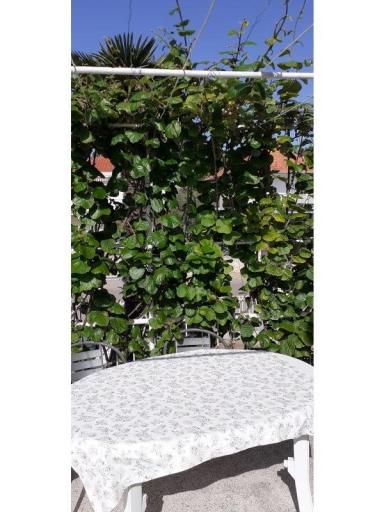 Apartmanok Margarita – fotó 15