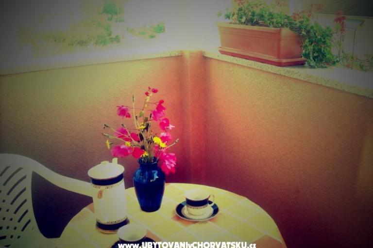 Apartmanok Mimoza – fotó 6