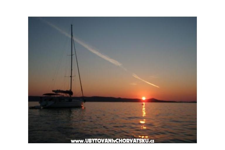 Apartmanok Mimoza – fotó 8