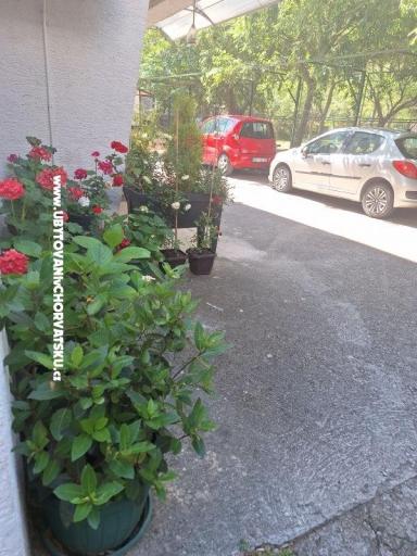 VILLA BERNARD..150 m plaža DRAŽICA – fotó 51