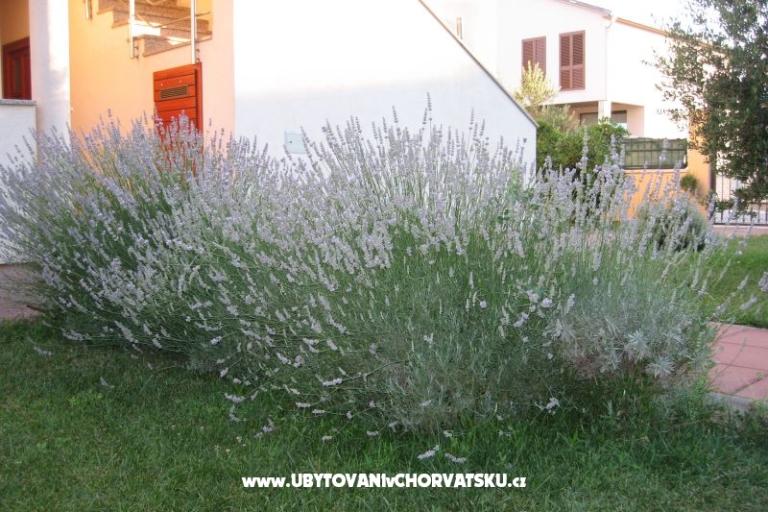 Apartmanok Blandona – fotó 7