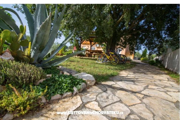 Studio apartmani Petra – fotó 6
