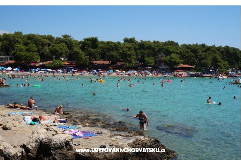 Sunshine Biograd – fotó 12