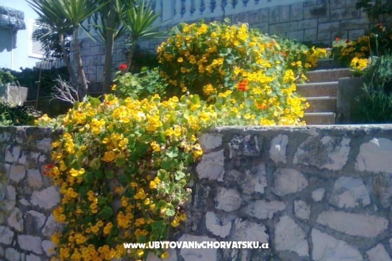 Apartmanok M  – fotó 6