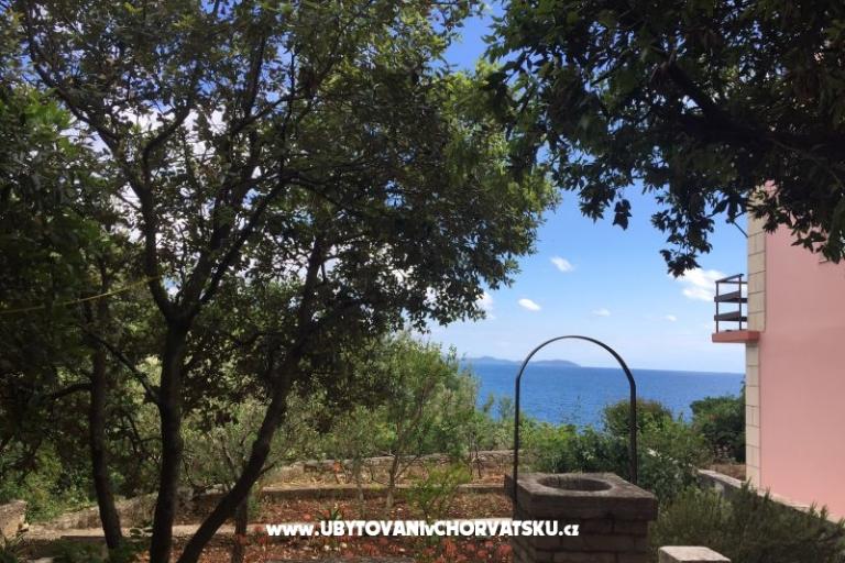 Apartmanok Kraljević – fotó 18
