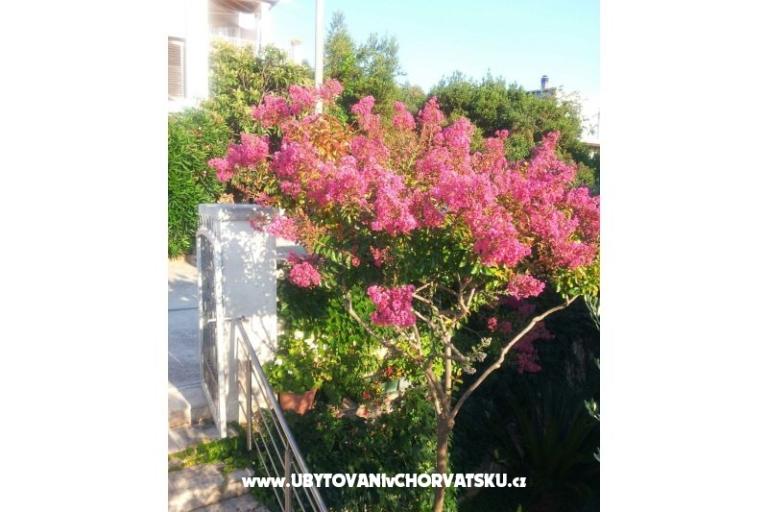 Apartmanok Kunac – fotó 13