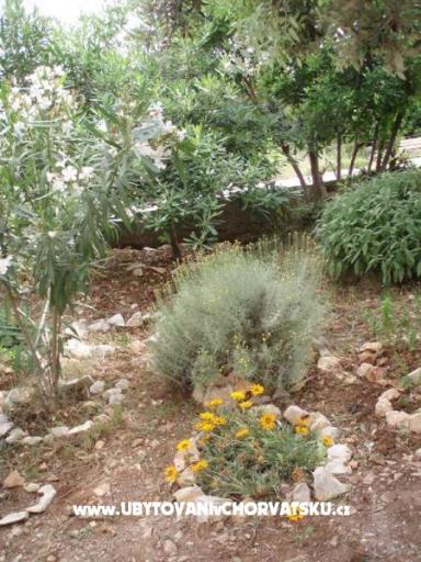 Apartmanok Nada – fotó 12