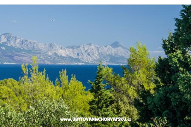Apartmanok Silva – fotó 10
