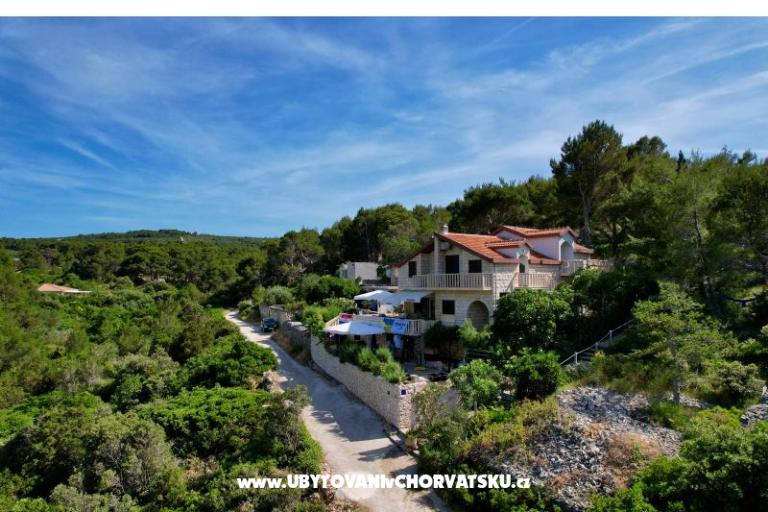 Apartmanok Villa Dragica – fotó 5