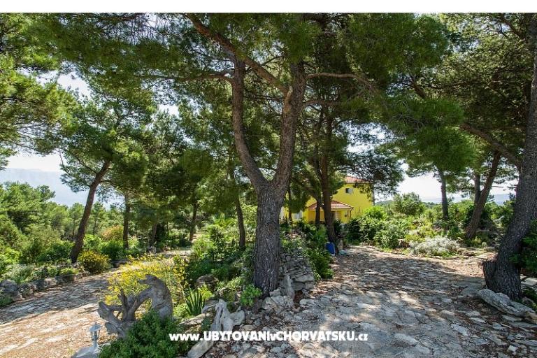 Apartmanok Chiaro – fotó 10