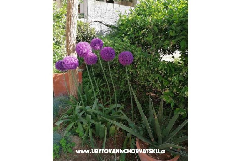 Apartmanok Vesna – fotó 23