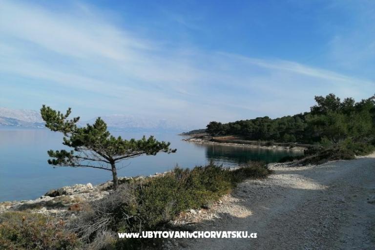 Apartmanok Vesna – fotó 24