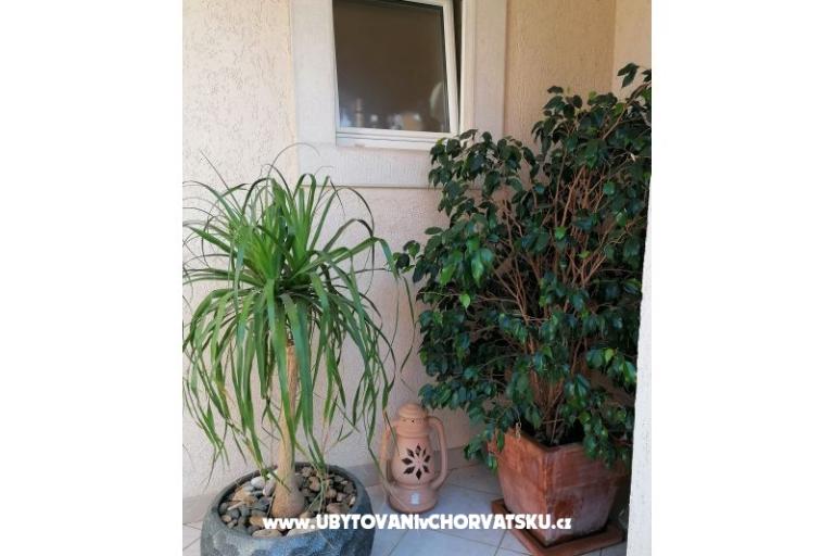 Apartmanok Vesna – fotó 34