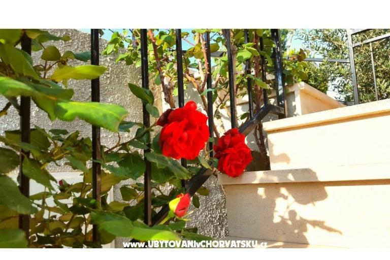 Apartmanok Bezma – fotó 3