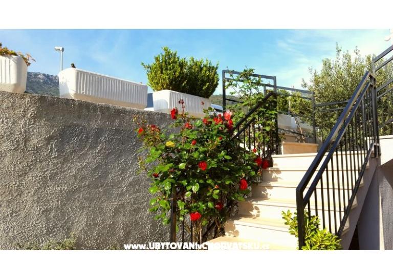 Apartmanok Bezma – fotó 8