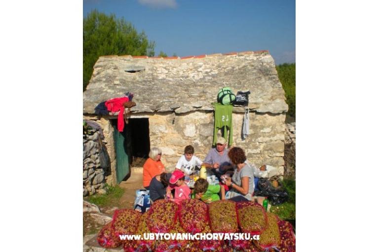 Villa PINA - Selca – fotó 17