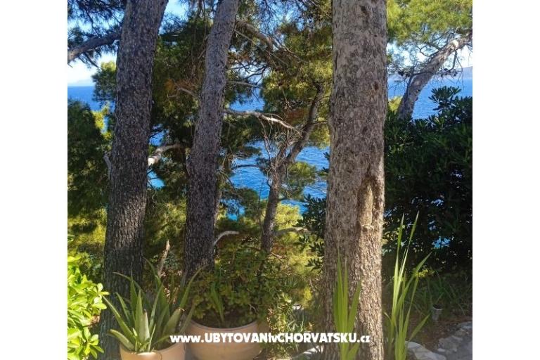 Accommodation Leon – fotó 16