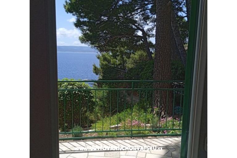 Accommodation Leon – fotó 23