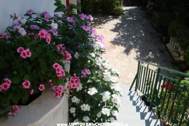 Apartman Nada Žamić – fotó 7