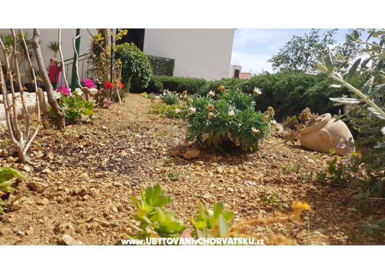 Apartmanok Tomas Brela – fotó 6