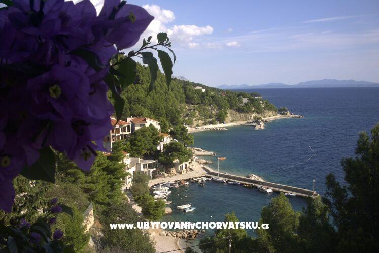 Apartmanok Jagoda – fotó 3