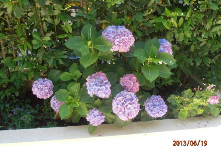Apartman Renata – fotó 17