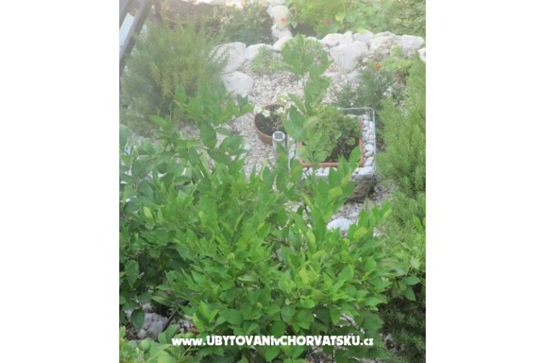 Apartmanok  Ivo Pikolo – fotó 18