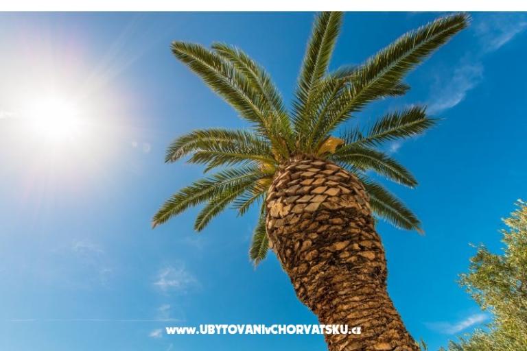 AApartmanok Brela Jago – fotó 3