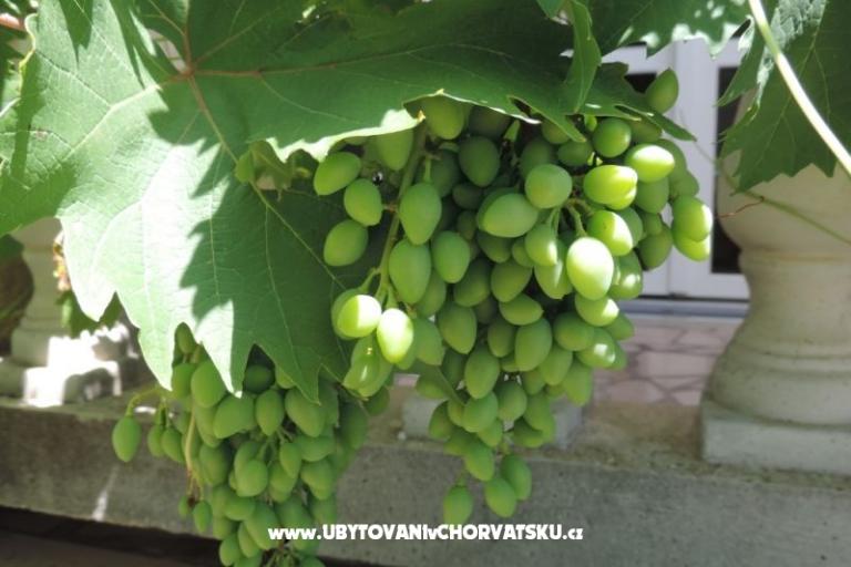 Ház Željko i Marija – fotó 13