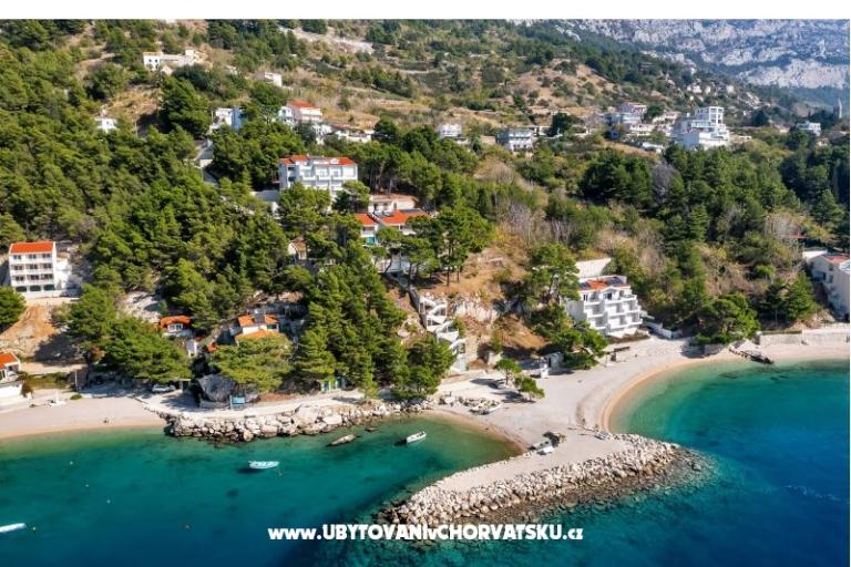 Pine Canopy Studios and Apartmanok – fotó 6