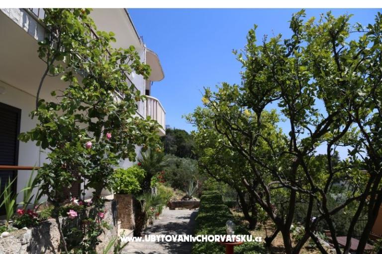 Apartmanok Mare – fotó 17