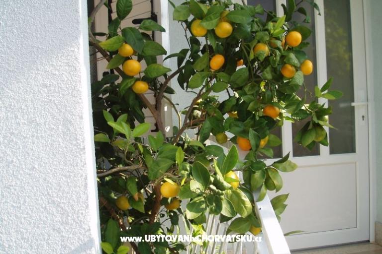 Apartmanok Orbanić – fotó 14