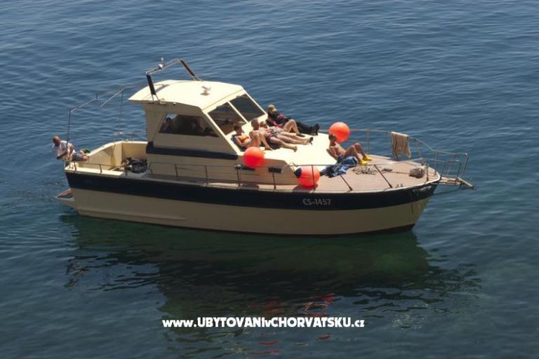 Pansion Tramontana – fotó 9