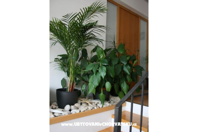 Apartmanok Katarina – fotó 4