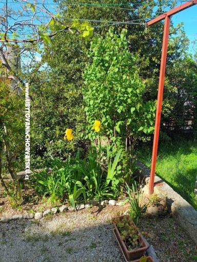 Apartmanok Rosi – fotó 6