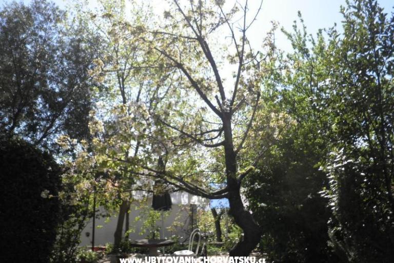 Apartmanok Rosi – fotó 9