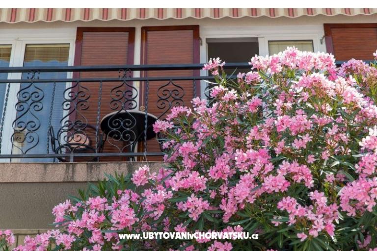 Apartmanok Tea – fotó 5