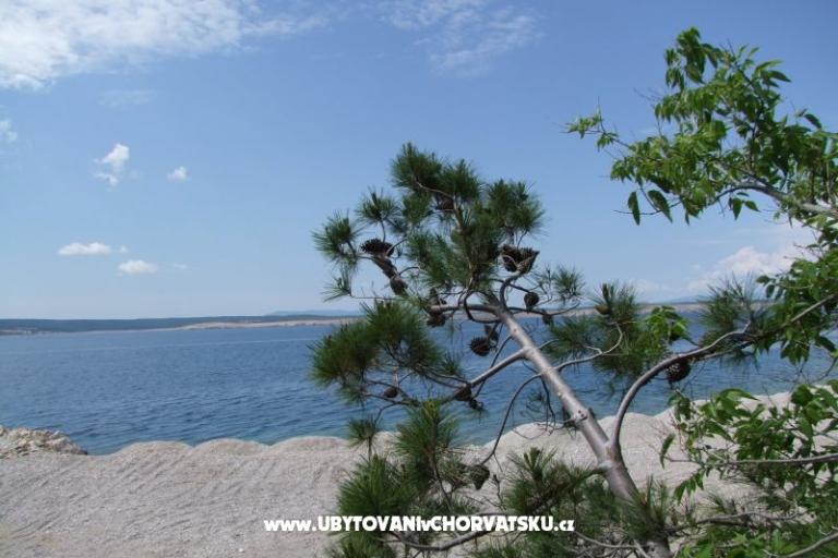 Apartmanok Višnja – fotó 13