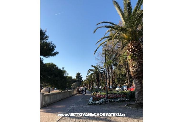 Apartmanok Sun and Sea – fotó 10