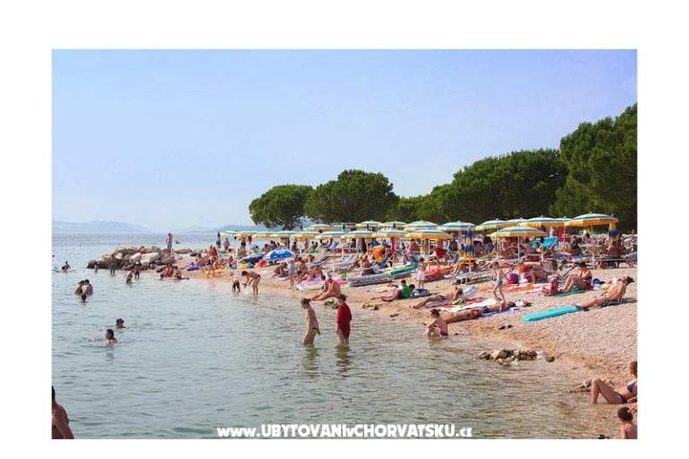 App Butković – fotó 4