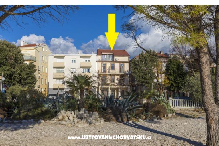 Beach Center – fotó 3