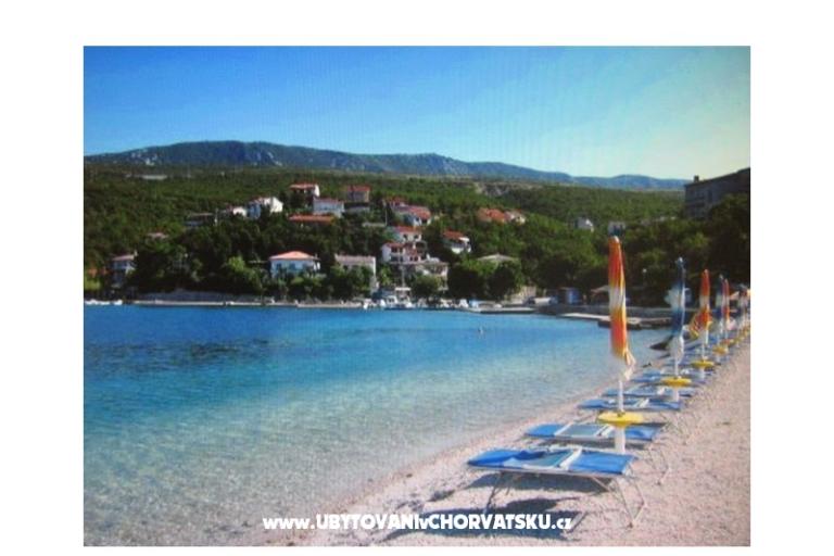 Luka Sočković – fotó 10
