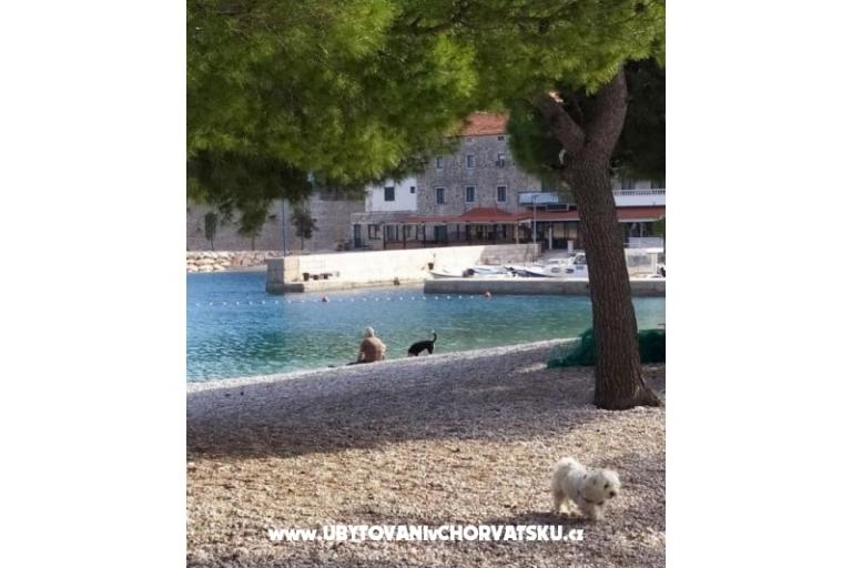Apartmanok Plavi Jadran – fotó 7