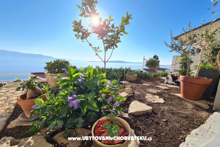 Apartmanok Puntin – fotó 4