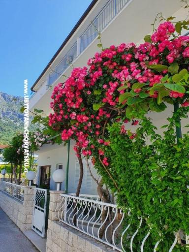 Apartmanok Villa Ivan Drvenik – fotó 2