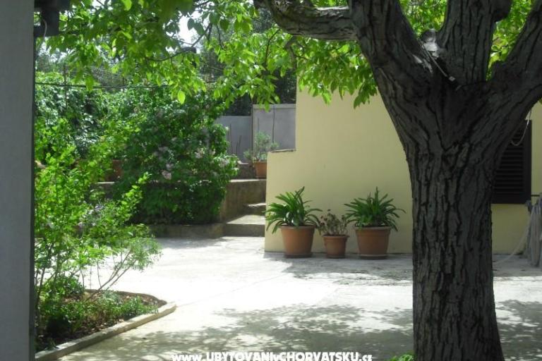 Apartman Jerkunica – fotó 10