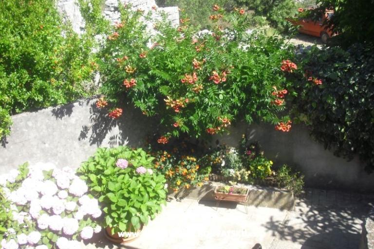 Apartman Jerkunica – fotó 11