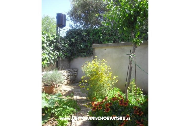 Apartman Jerkunica – fotó 7